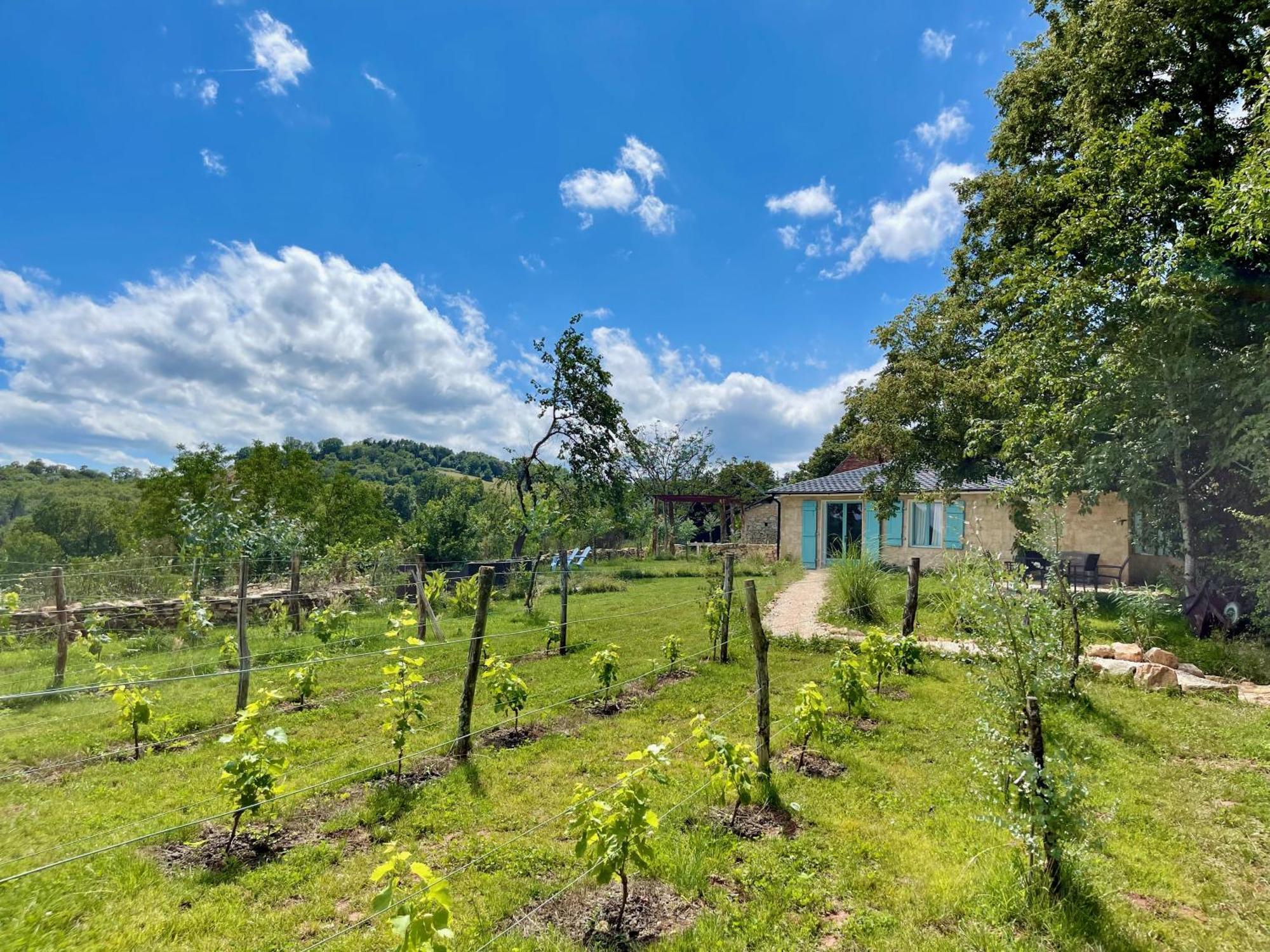 Villa La Belle Petite Ferme Rosiers De Julliac 19350 Le Bos Exterior foto